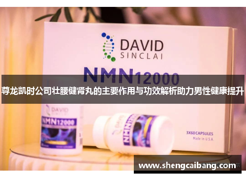 尊龙凯时公司壮腰健肾丸的主要作用与功效解析助力男性健康提升